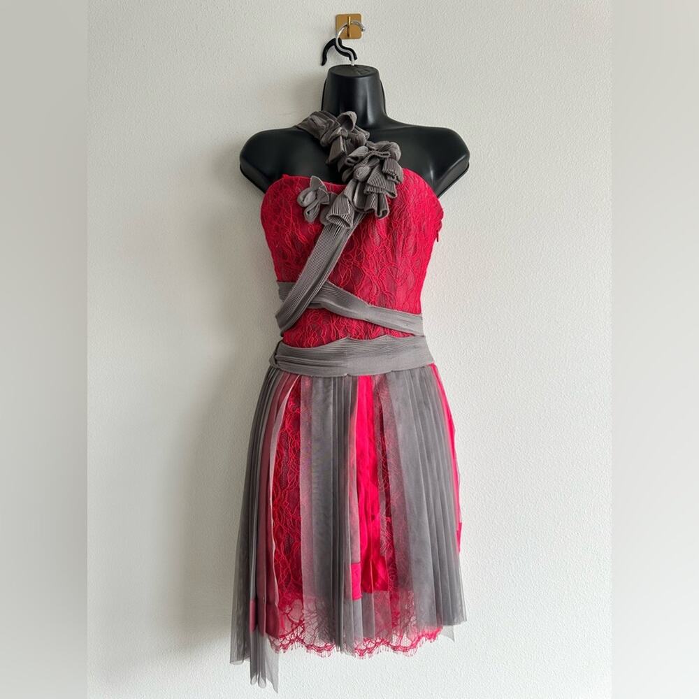 BCBGMAXAZRIA Runway Red Lace & Gray Mesh Ribbon Dress Limited Edition Size 2 NWT